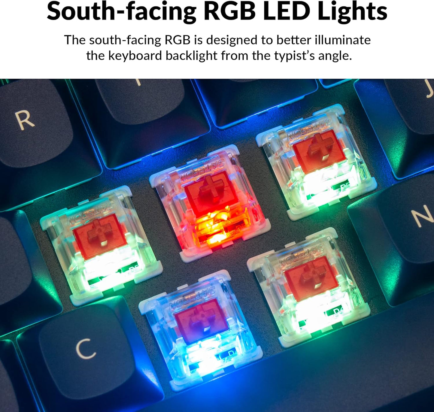 Keychron Q2 Wired Custom Mechanical Keyboard, QMK/VIA Programmable Macro, Full Aluminum, Hot-Swappable Gateron G Pro Red Switch, 65% Layout Double Gasket Compatible with Mac and Windows - Blue