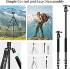 Carbon Fiber Camera Tripod, 62" Professional Video Tripod for Camera with 360° Ball Head, 1/4" Arca QR Plate, Compact Lightweight Travel Monopod for DSLR/Smartphone, Max Load 17.6 lbs/8kg