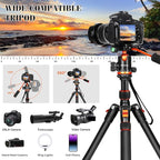 Camera Tripods & Projector Stand, 2 in1 Tripod for Camera with Removable Metal Tray, Heavy Duty Tripod for DSLR. Projector. Sheet Music and Tablet, Extra Metal Spikes and Carry Bag