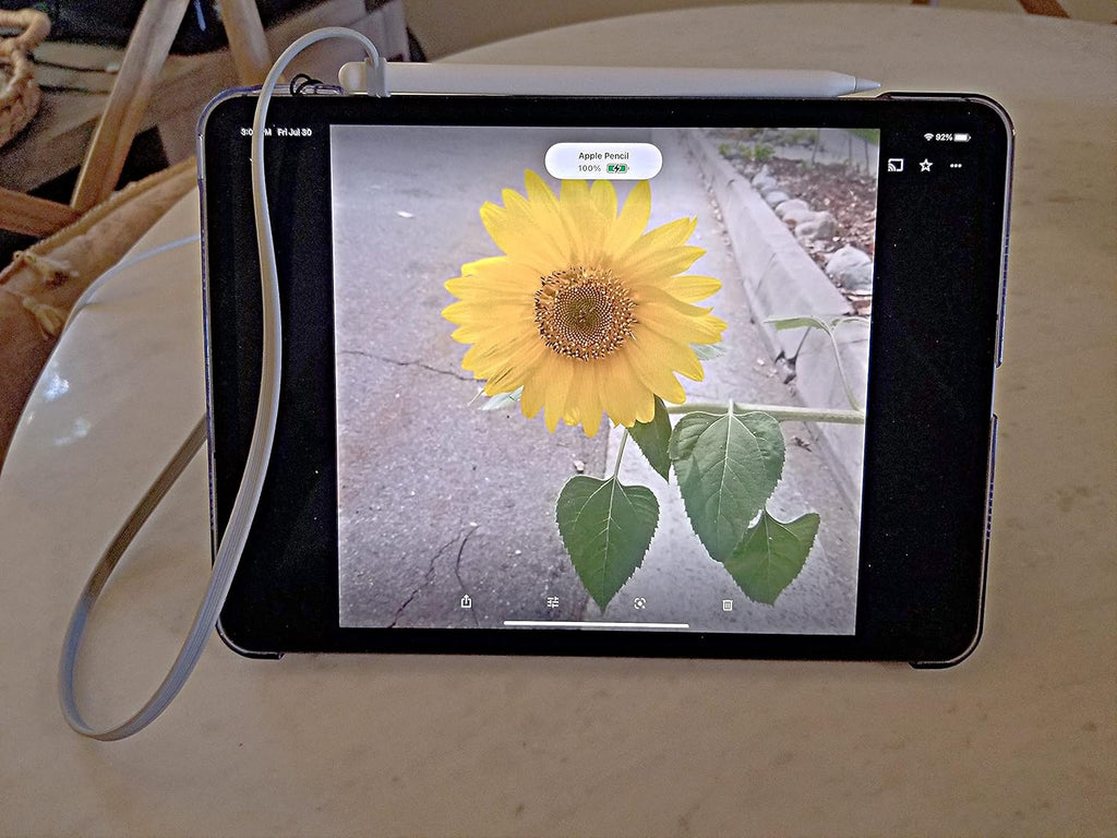 ZoopLoop Grey Silicone Scratchproof 20.75in Tether for Digital Electronic Styluses (Diameter Range: 0.27-0.37in) - Secure Stylus to Tablet Case - Tablet Pencil Holder Accessory