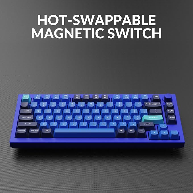 Keychron Q1 RGB Wired Custom Mechanical Keyboard, 75% Layout QMK/VIA Programmable Macro with Hot-swappable Gateron G Pro Blue Switch Double Gasket Compatible with Mac Windows Linux (Blue) -Version 2